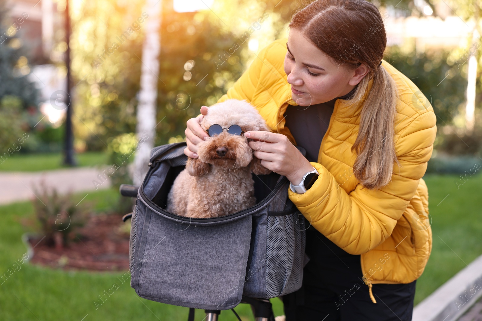 Photo of Woman with bicycle and cute Toy Poodle dog in sunglasses outdoors