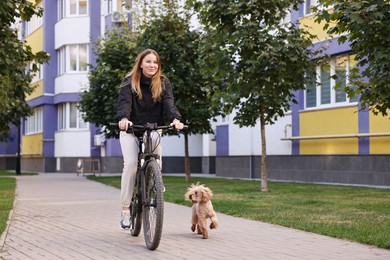 Photo of Woman riding bicycle and cute Toy Poodle dog running after her outdoors