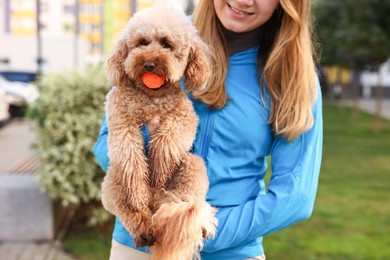 Photo of Woman and cute Toy Poodle dog with ball outdoors, closeup