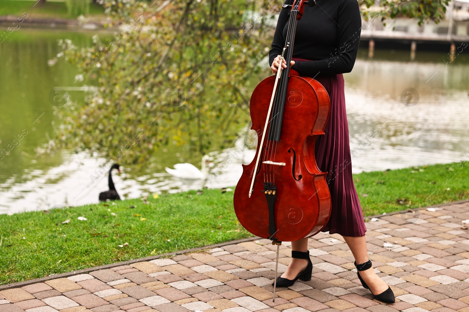 Photo of Young woman with cello in park, closeup