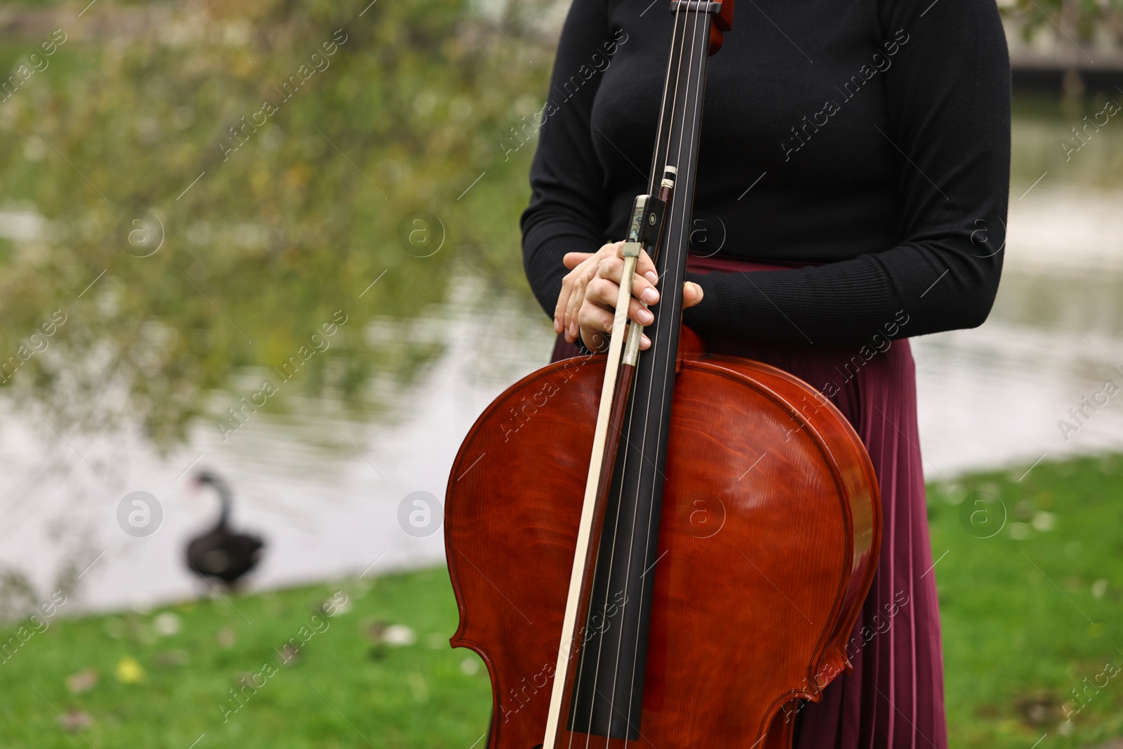 Photo of Woman with cello in park, closeup. Space for text