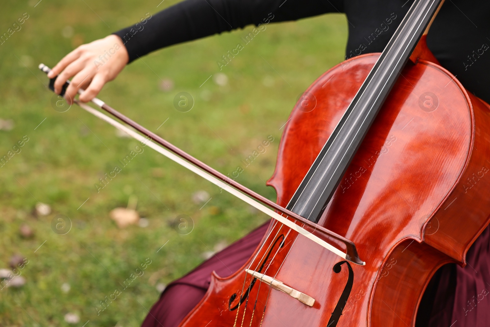 Photo of Woman playing cello outdoors, closeup. Classic musical instrument