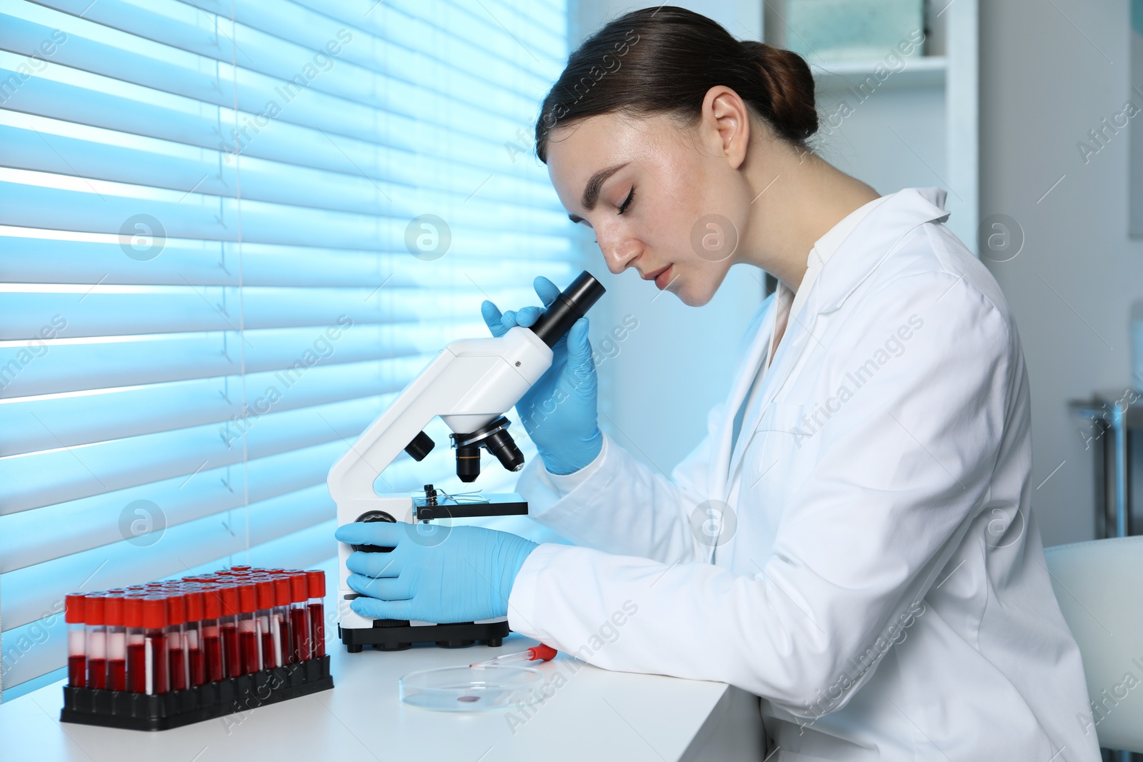 Photo of Laboratory testing. Doctor working with microscope at table indoors