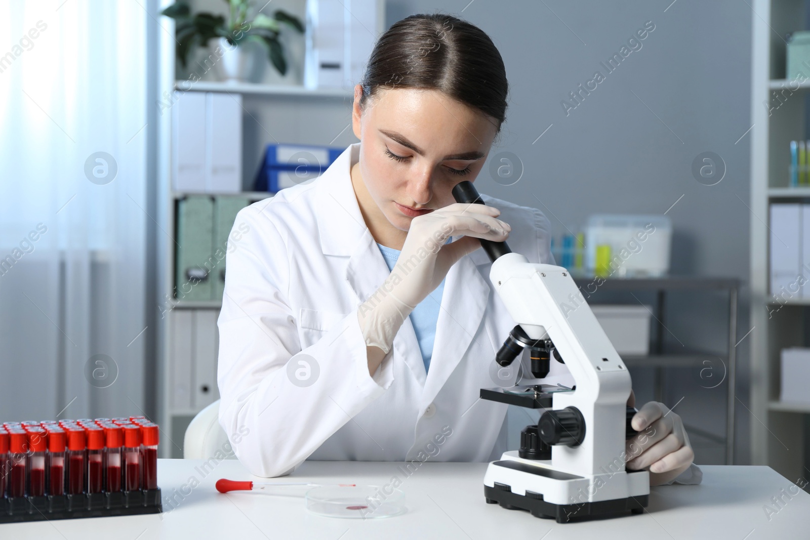 Photo of Laboratory testing. Doctor working with microscope at table indoors