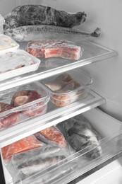 Photo of Different frozen meat and fish products in fridge