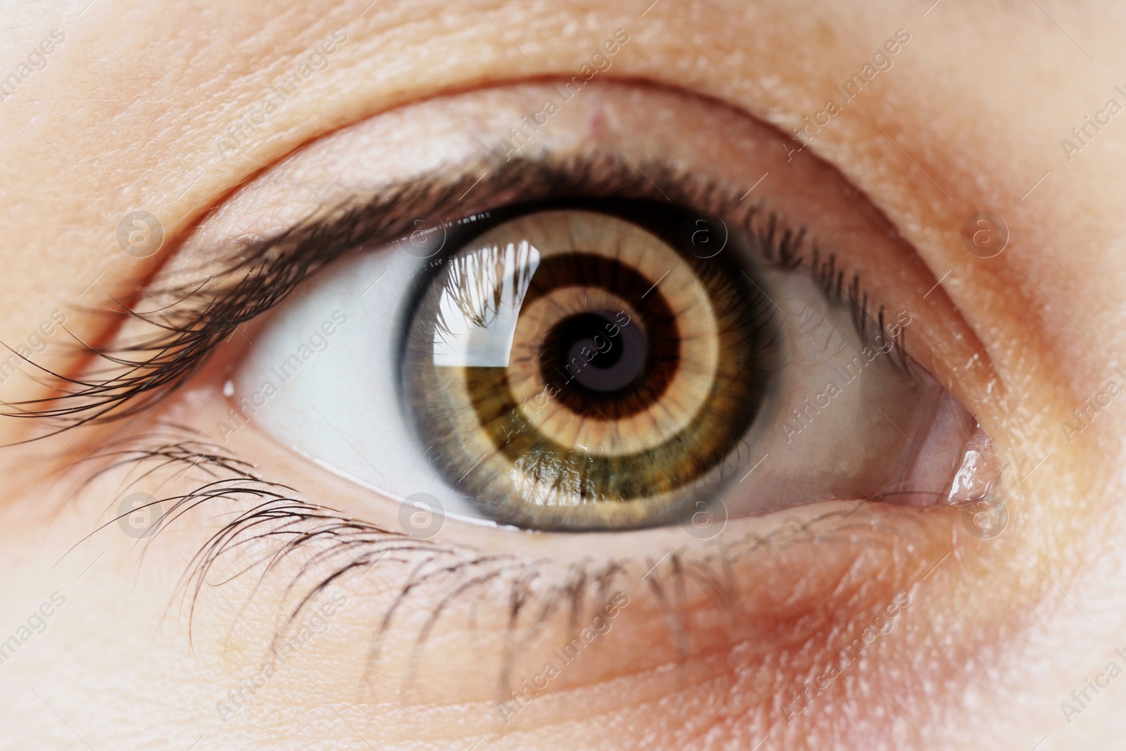 Image of Hypnosis. Spiral symbolizing hypnotic effect in woman's eye, closeup