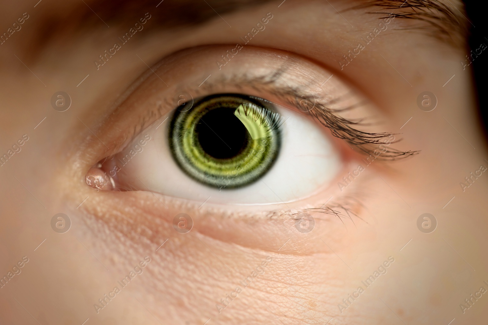 Image of Hypnosis. Spiral symbolizing hypnotic effect in woman's eye, closeup