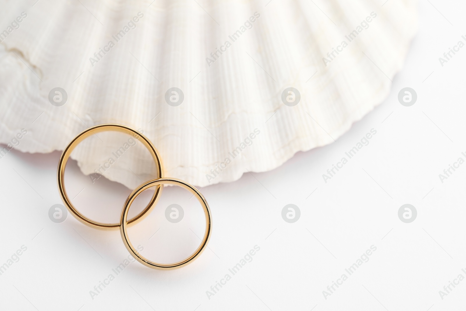 Photo of Beautiful golden wedding rings and sea shell on white background, top view