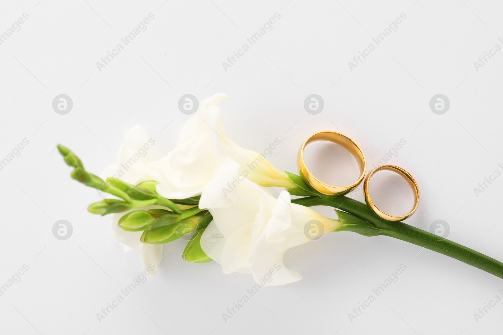 Photo of Golden wedding rings and flowers on white background, top view