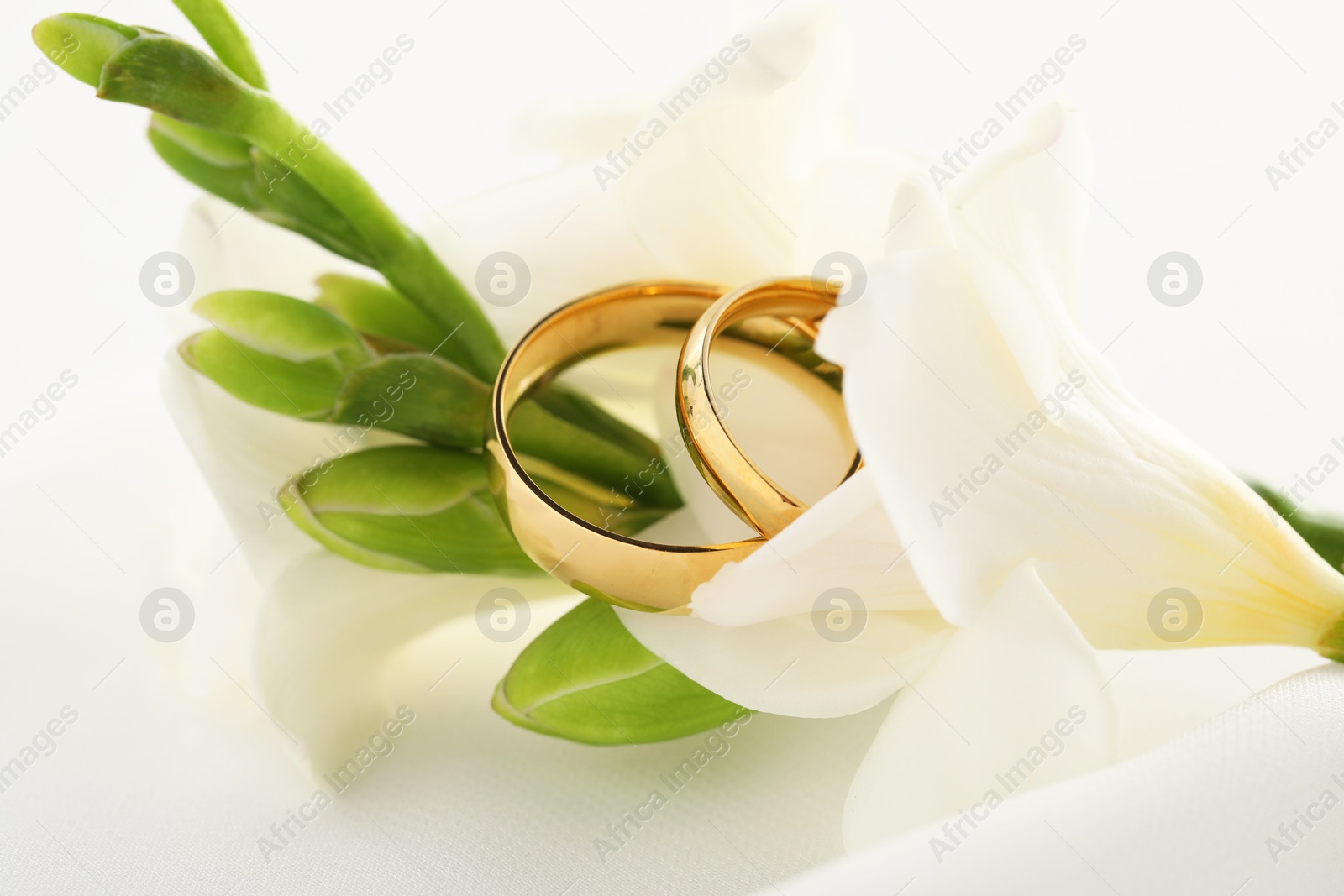 Photo of Golden wedding rings and flowers on blurred background, closeup