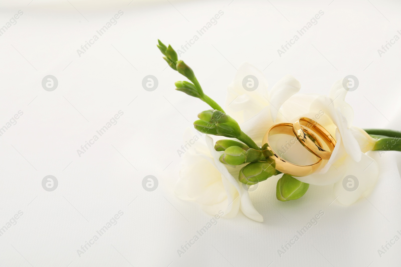 Photo of Golden wedding rings and flowers on white background, closeup. Space for text