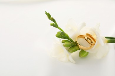 Photo of Golden wedding rings and flowers on white background, closeup. Space for text