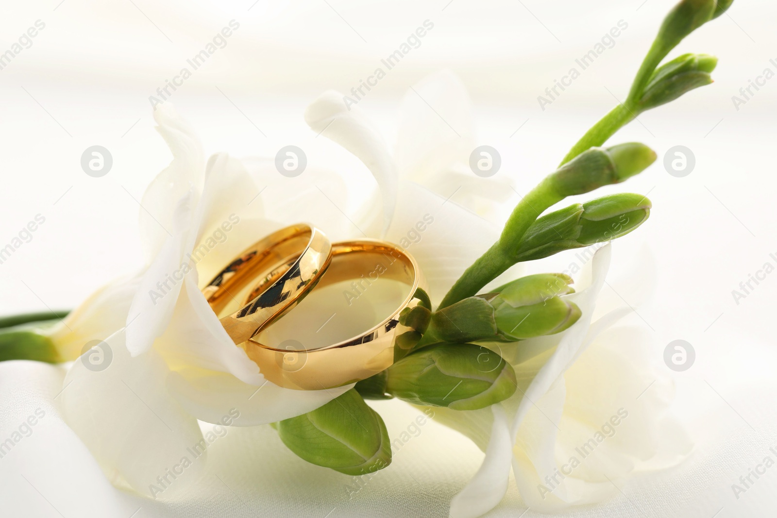 Photo of Golden wedding rings and flowers on blurred background, closeup