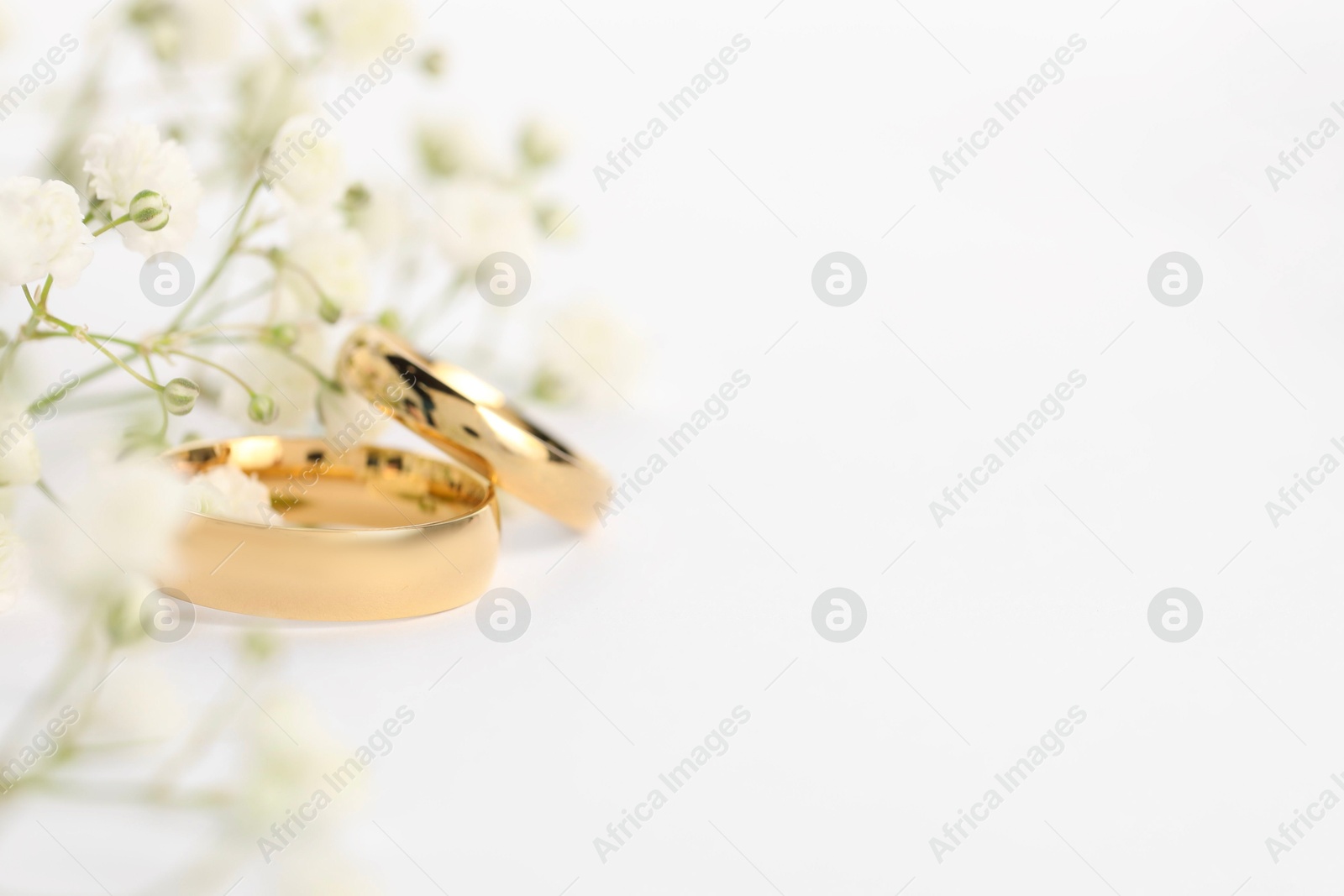 Photo of Golden wedding rings and flowers on white background, closeup. Space for text