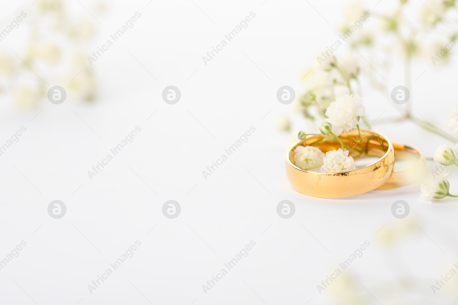 Photo of Golden wedding rings and flowers on white background, closeup. Space for text