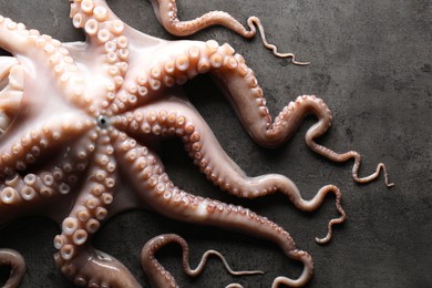 Photo of One fresh raw octopus on grey textured table, top view