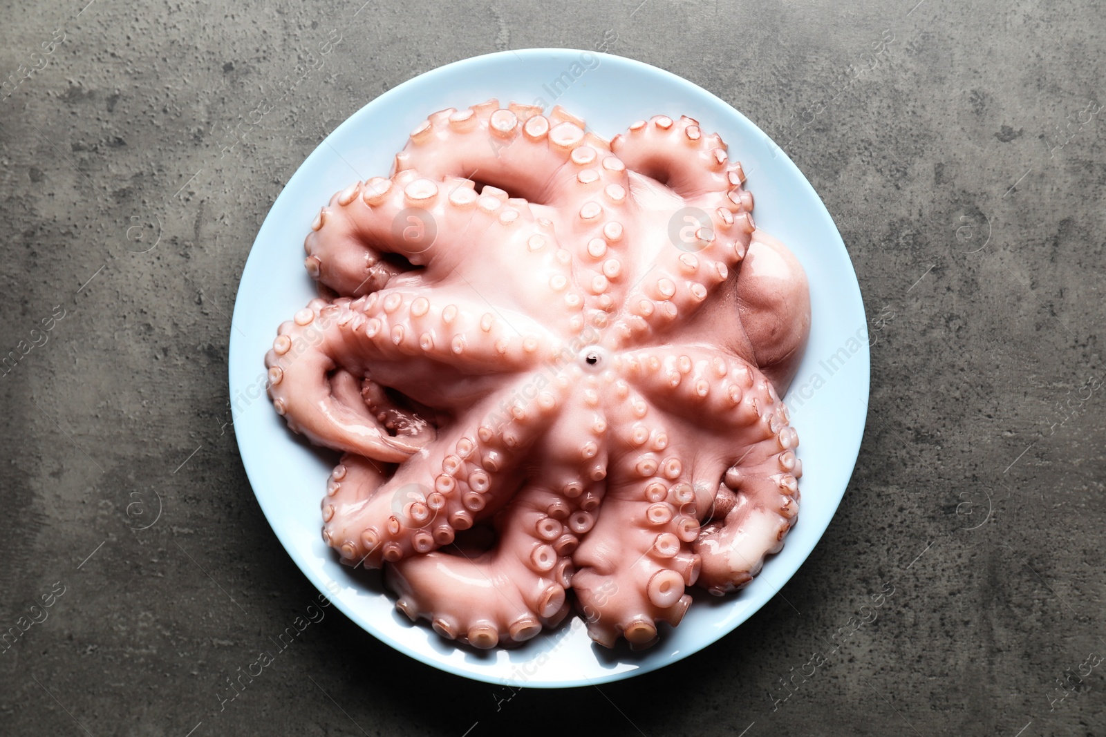 Photo of Plate with raw octopus on grey textured table, top view