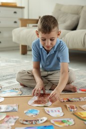 Photo of Little boy creating vision board with different pictures and other elements on floor at home