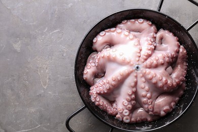 Photo of Fresh raw octopus in frying pan on grey table, top view. Space for text