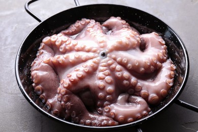 Photo of Fresh raw octopus in frying pan on grey table, closeup