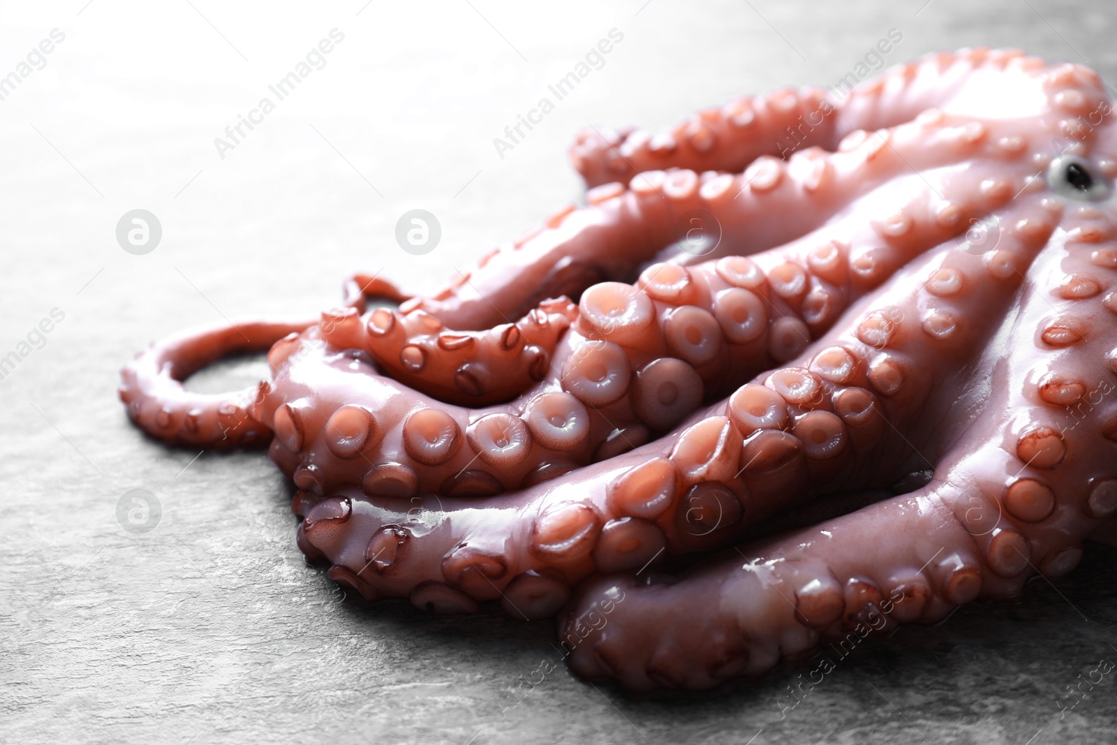 Photo of Fresh raw octopus on grey table, closeup