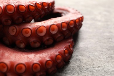 Photo of Fresh raw octopus on grey table, closeup