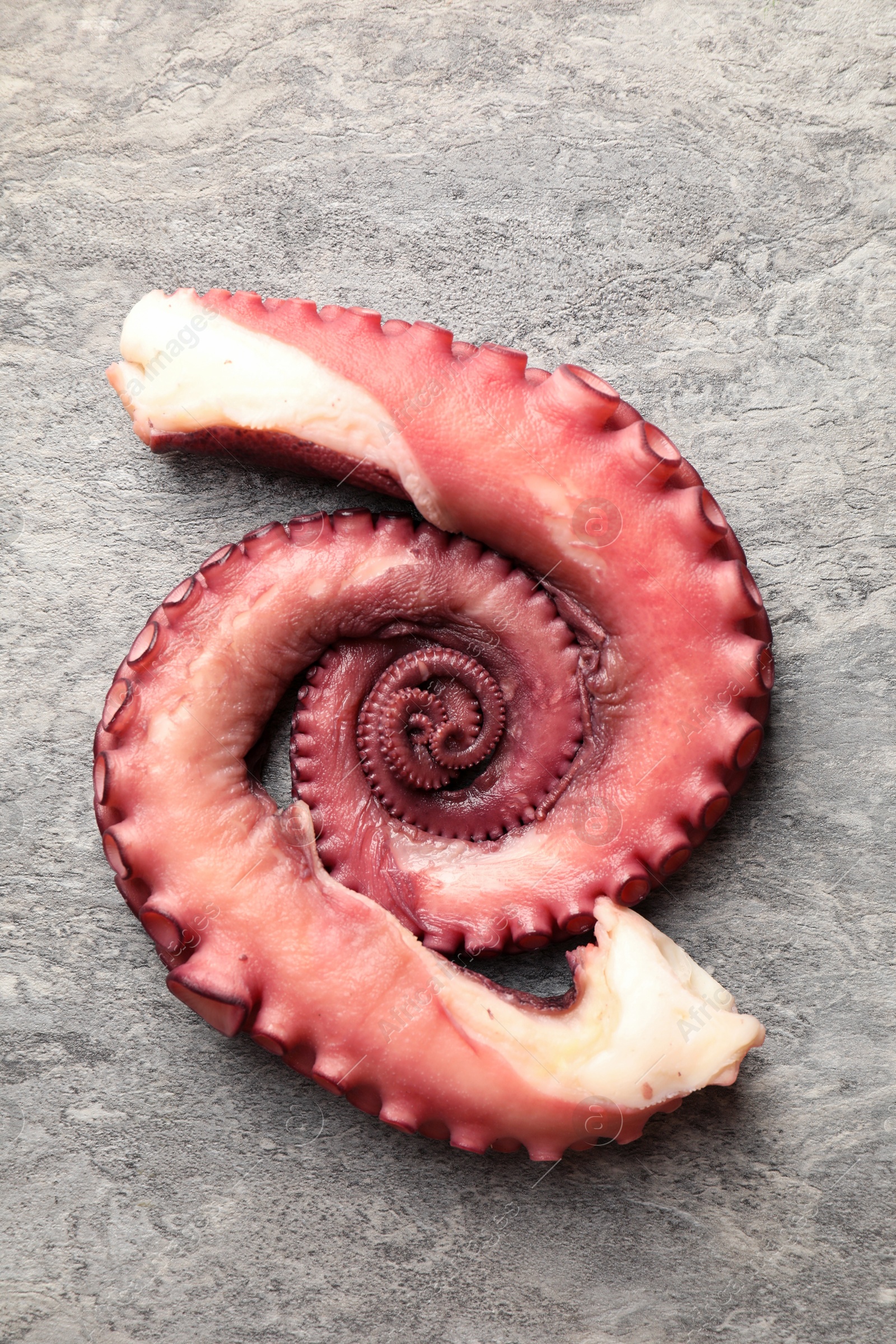 Photo of Fresh raw octopus on grey table, top view