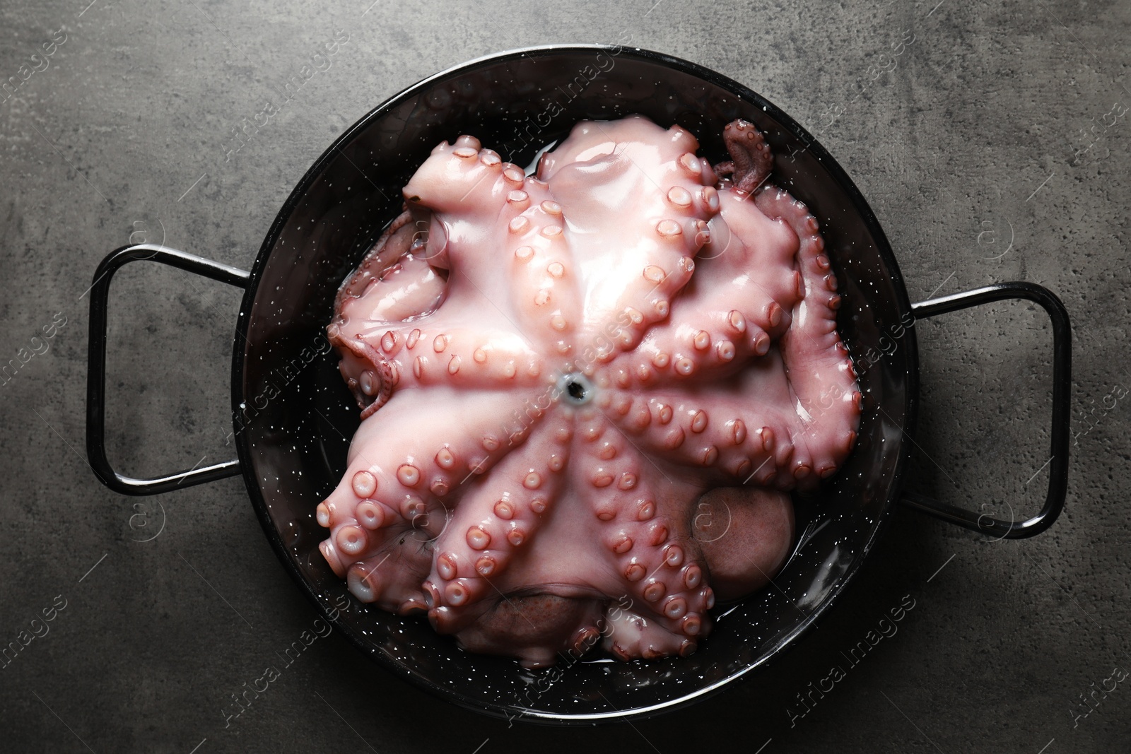 Photo of Fresh raw octopus in frying pan on grey table, top view