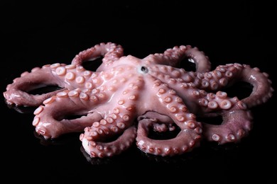 Photo of One fresh raw octopus on black background