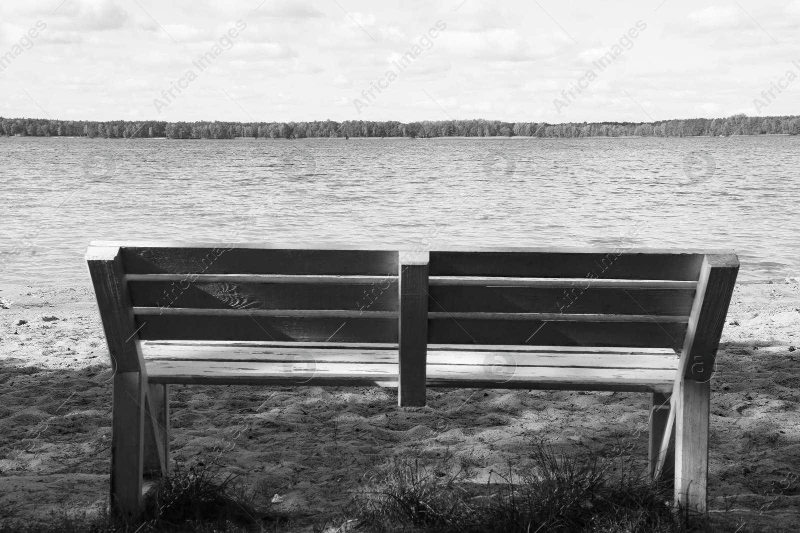 Photo of Wooden bench near river on sunny day