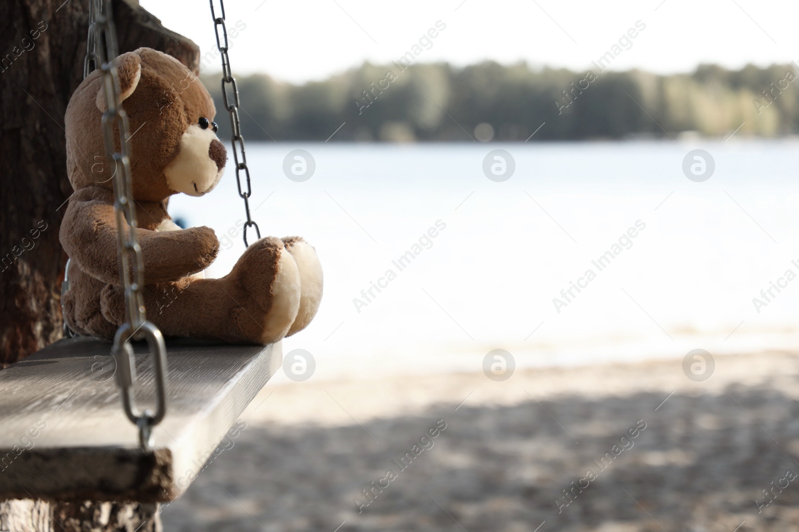 Photo of Lonely teddy bear on swing near river, space for text