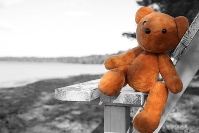 Photo of Lonely teddy bear on bench in park