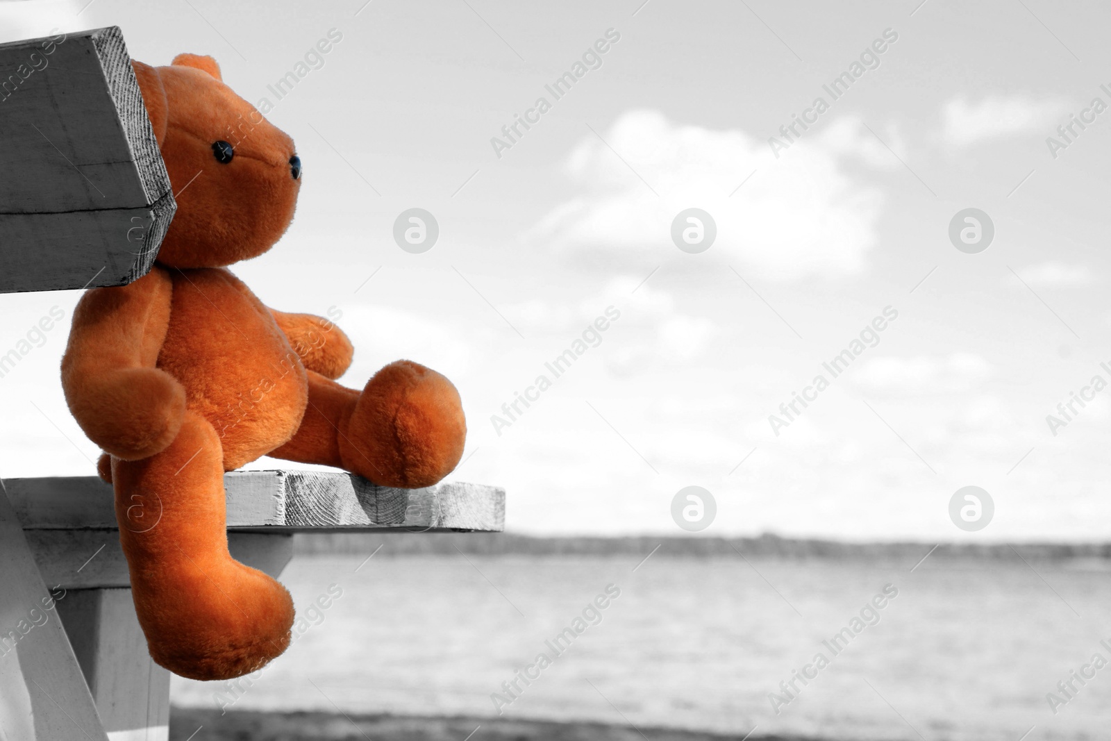 Photo of Lonely teddy bear on bench near river, space for text