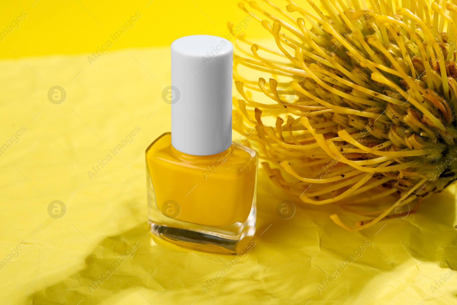 Photo of Nail polish in bottle and flower on yellow background, closeup