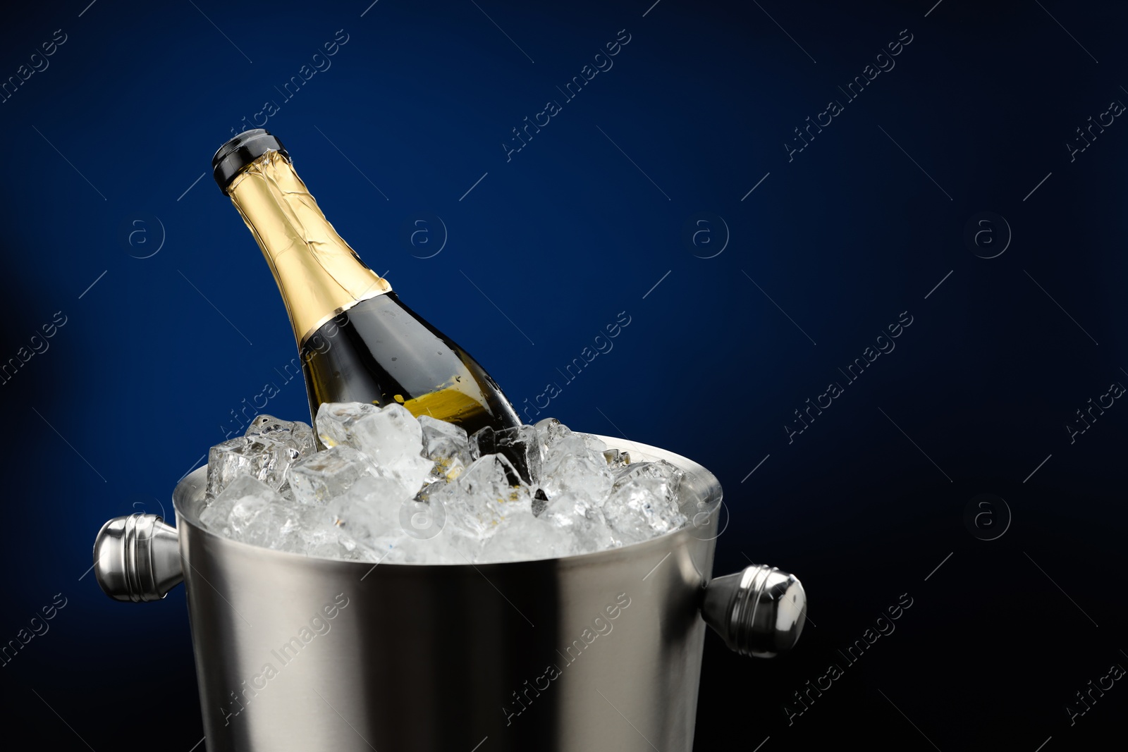 Photo of Bottle of sparkling wine in cooler bucket on blue background, closeup. Space for text