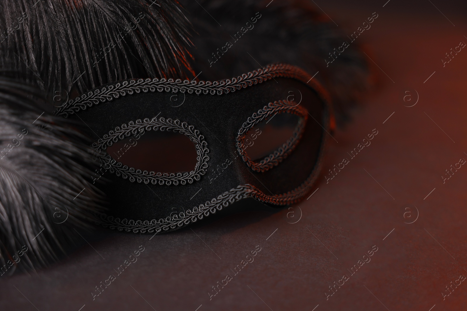 Photo of Beautiful carnival mask and feathers on black background in color lights, closeup. Space for text