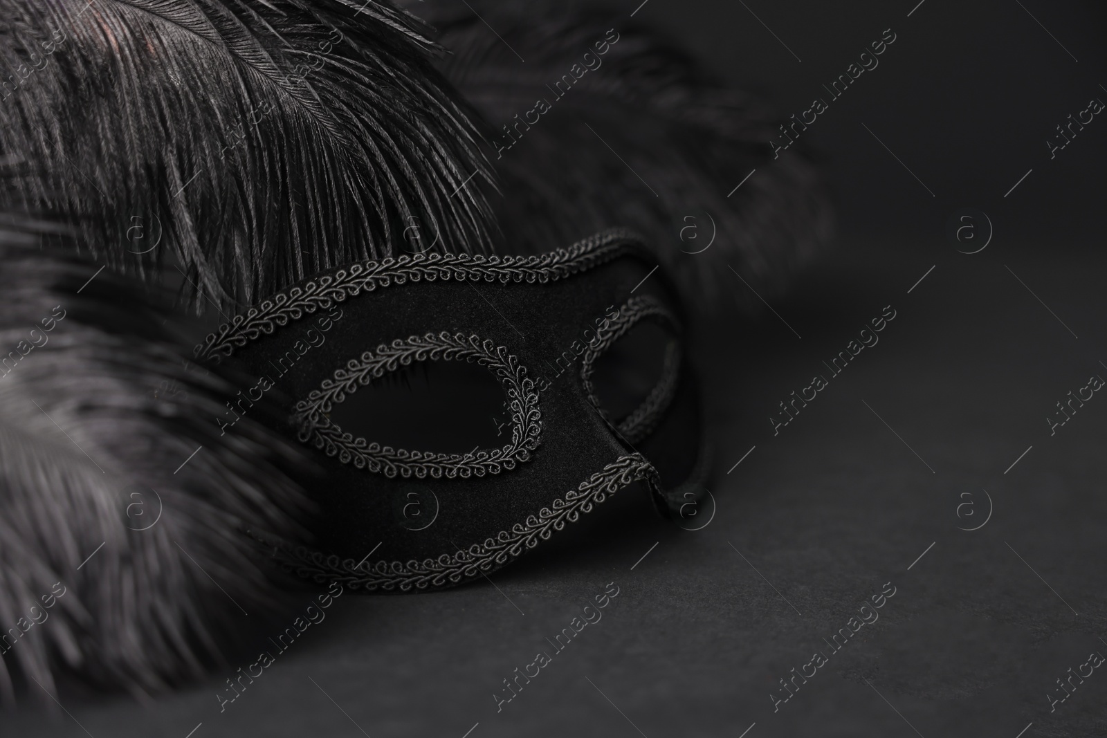 Photo of Beautiful carnival mask and feathers on black background, closeup. Space for text