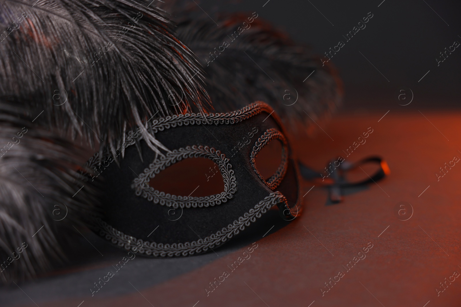 Photo of Beautiful carnival mask and feathers on black background in color lights, closeup. Space for text