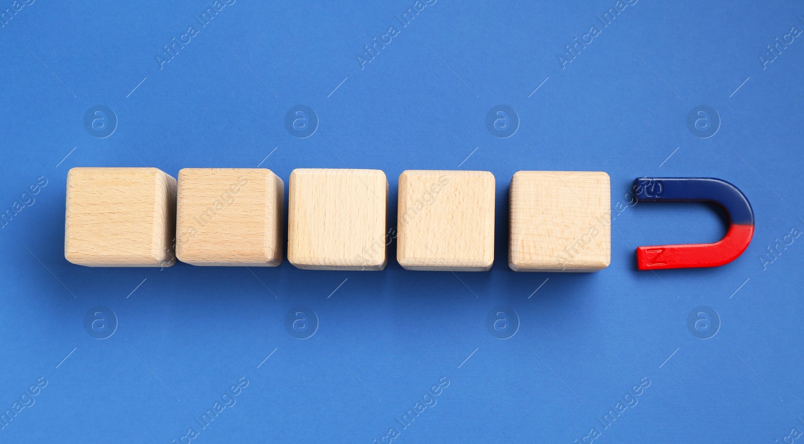 Photo of Magnet attracting wooden cubes on blue background, flat lay