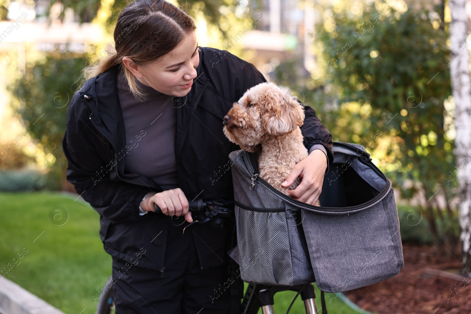 Photo of Woman with bicycle and cute Toy Poodle dog in pet carrier outdoors