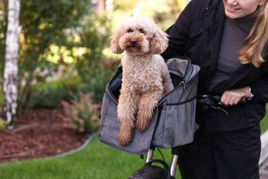 Photo of Woman with bicycle and cute Toy Poodle dog in pet carrier outdoors, closeup