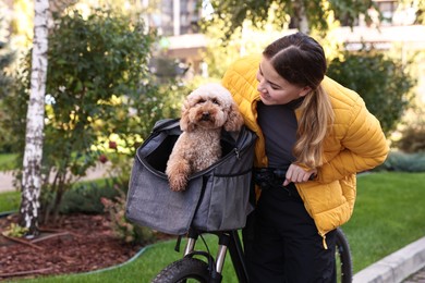 Photo of Woman with bicycle and cute Toy Poodle dog in pet carrier outdoors