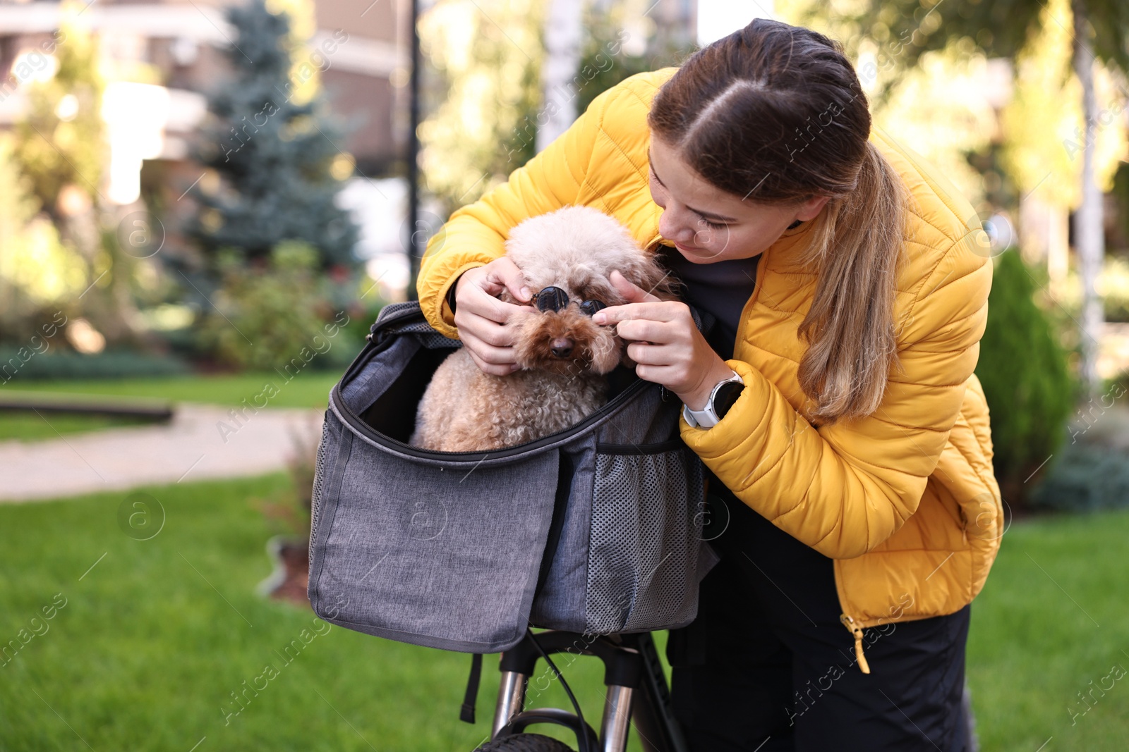 Photo of Woman with bicycle and cute Toy Poodle dog in sunglasses outdoors