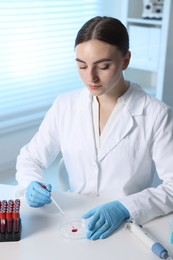 Laboratory testing. Doctor dripping blood sample into Petri dish at table indoors