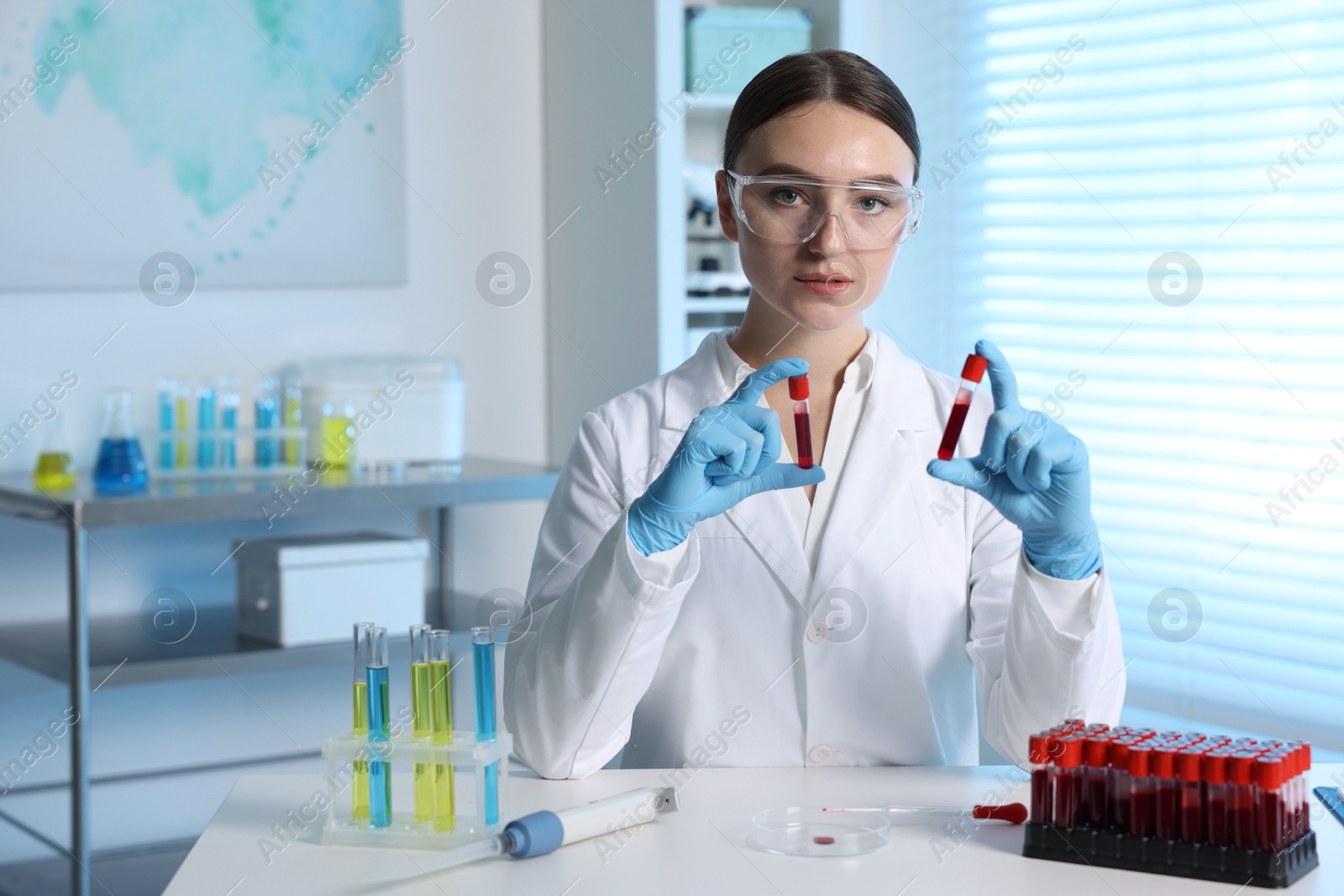 Photo of Laboratory testing. Doctor holding test tubes with blood samples at table indoors