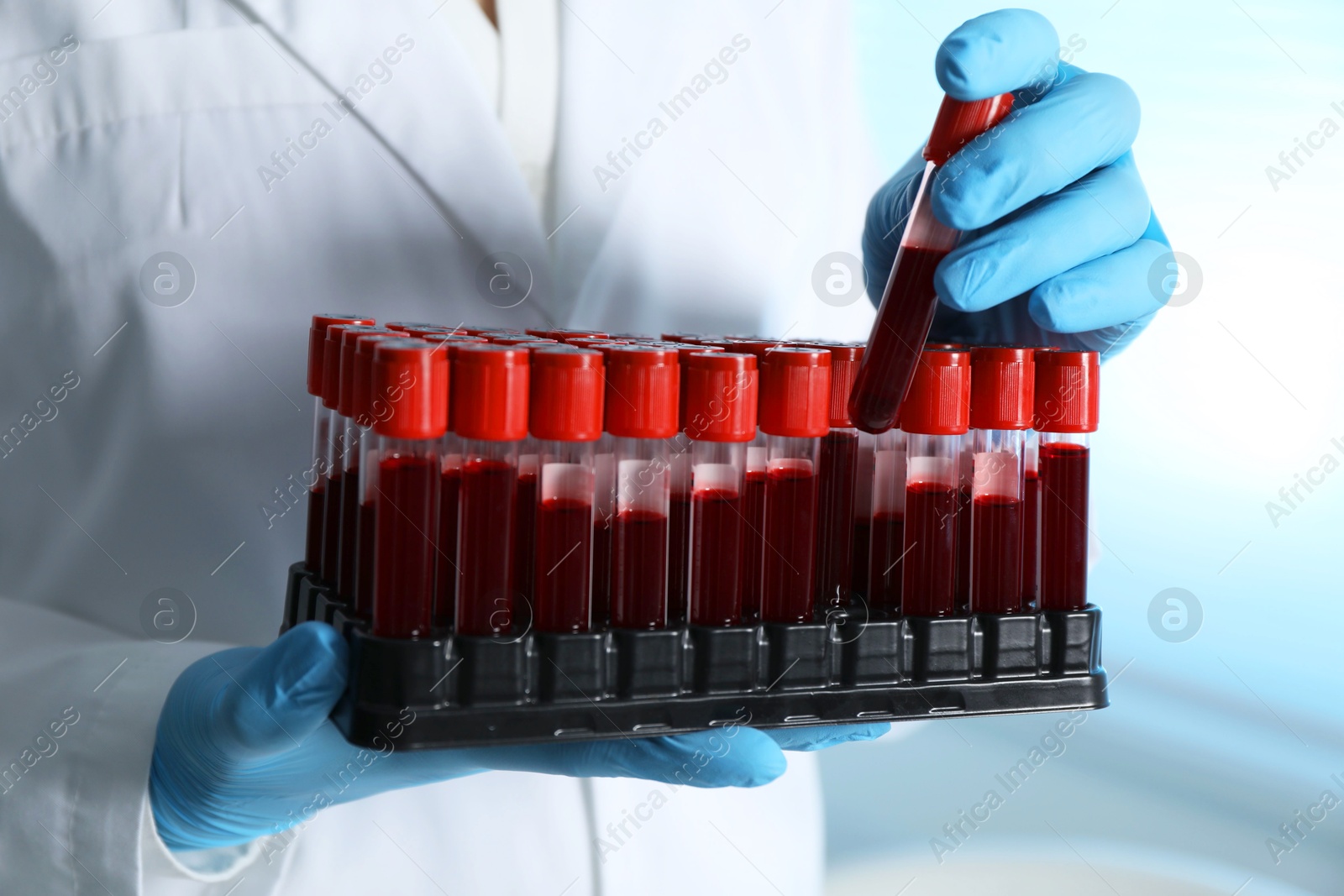 Photo of Laboratory testing. Doctor taking test tube with blood sample from rack indoors, closeup