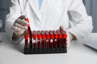 Photo of Laboratory testing. Doctor taking test tube with blood sample from rack at table indoors, closeup