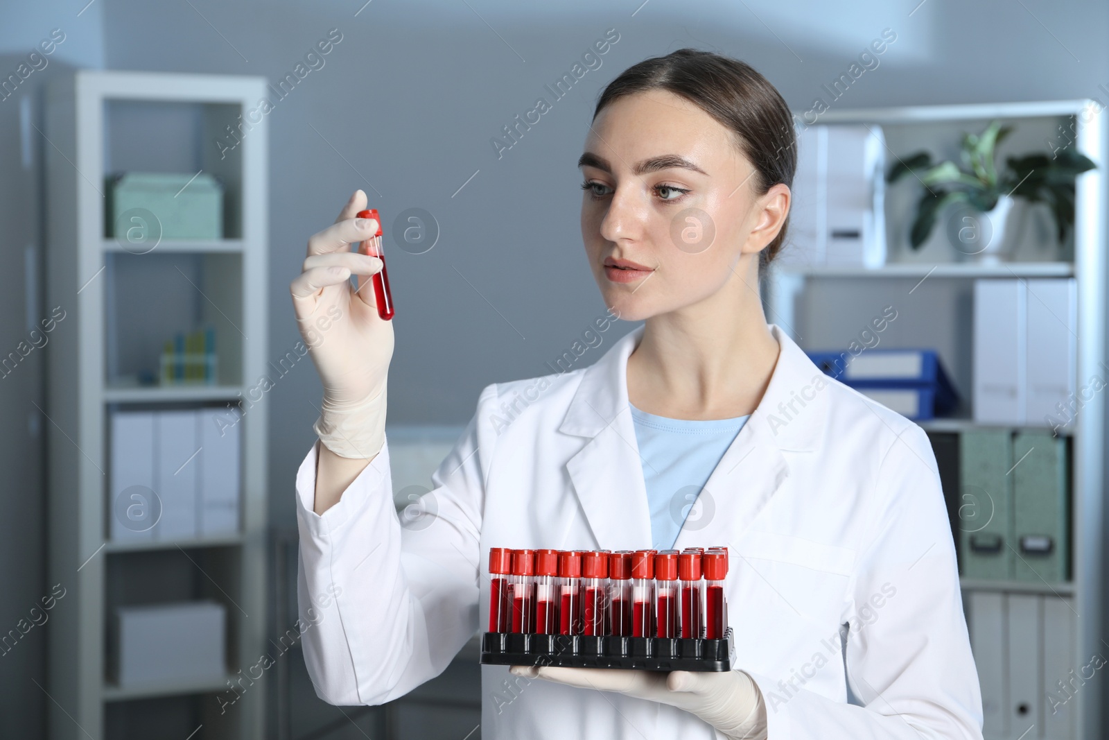 Photo of Laboratory testing. Doctor holding test tubes with blood samples indoors