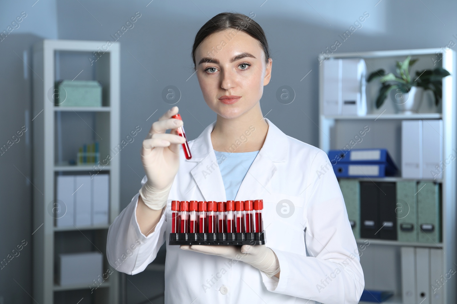 Photo of Laboratory testing. Doctor holding test tubes with blood samples indoors