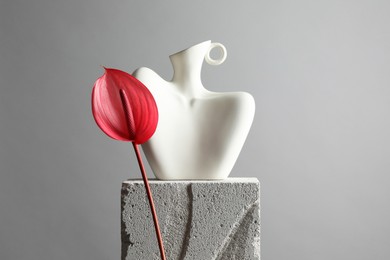 Photo of Stylish vase and tail flower on concrete block against light grey background